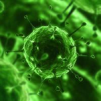 Pixwords изображение с бактерий, вирусов, насекомых, болезни, сотовый Sebastian Kaulitzki - Dreamstime