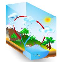Pixwords изображение с вода, солнце, деревья, озеро, дерево, облака, дождь Designua